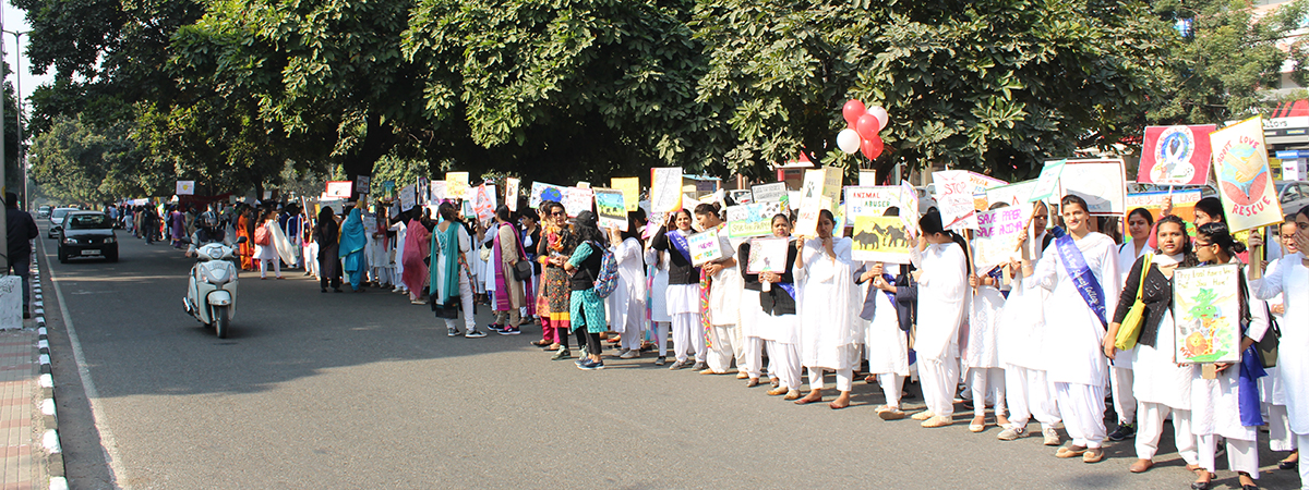 Rally and Signature Campaign to ‘Save Animals- Save Humanity’